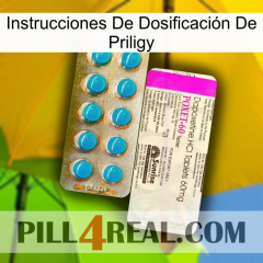 Instrucciones De Dosificación De Priligy new07